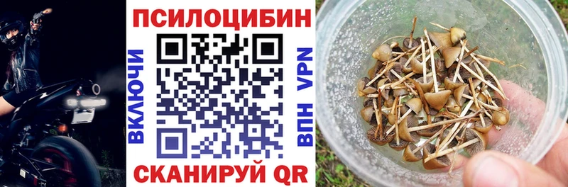 Псилоцибиновые грибы MAGIC MUSHROOMS  Купить  Багратионовск 